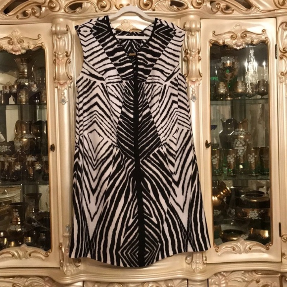 NWOT ILE New York Zebra Print Black White Dress 20